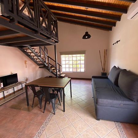 Luxury Loft Apartman Mendoza Kültér fotó
